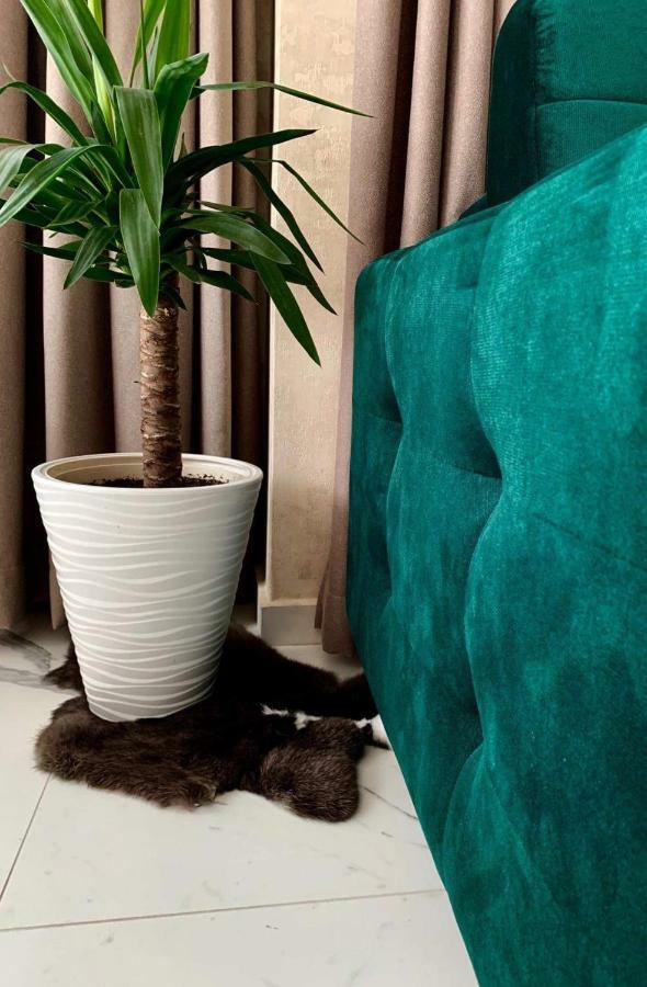 Comfort Deluxe Flat Ruse Ngoại thất bức ảnh